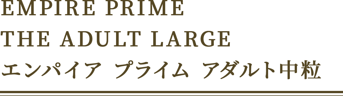 EMPIRE PRIME THE ADULT LARGE エンパイア プライム アダルト中粒