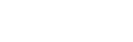 ドッグフード Dog Food