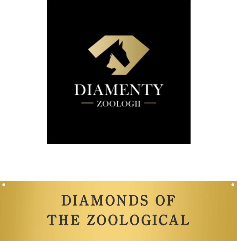 DIAMONDS OF THE ZOOLOGICAL MARKET